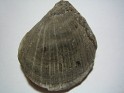 Unknown  Spain. Uploaded by Granotius